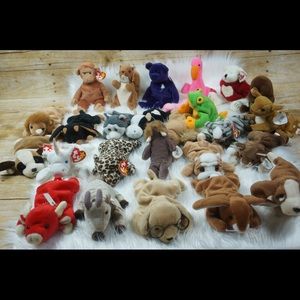 TY Beanie Babie Collection